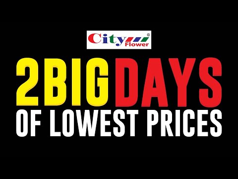 City Flower 2 Big Days of Lowest Prices at Arar & Buraidah