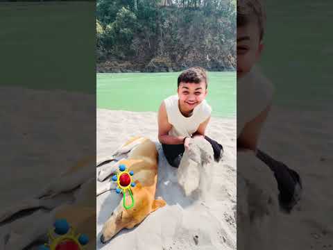 Golu Pagal Ho Gaya 😭😡 #shorts #funny  #lolraunak