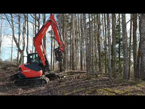 FOR SALE / KUBOTA KX 080-4 + TMK 300 tree shear