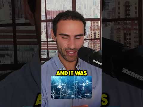 Meine TOP-Nootropika!