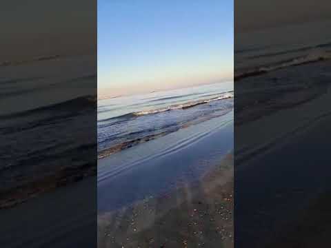 فيروز وبحر ونسرين 🙃