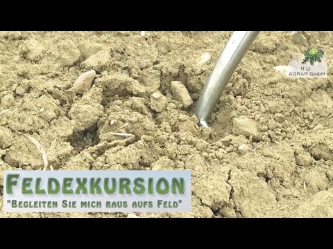 19. Feldexkursion: Zu welchem Zeitpunkt den Raps drillen - NU Agrar, 20.08.2015