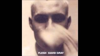 David Gray - Falling Free