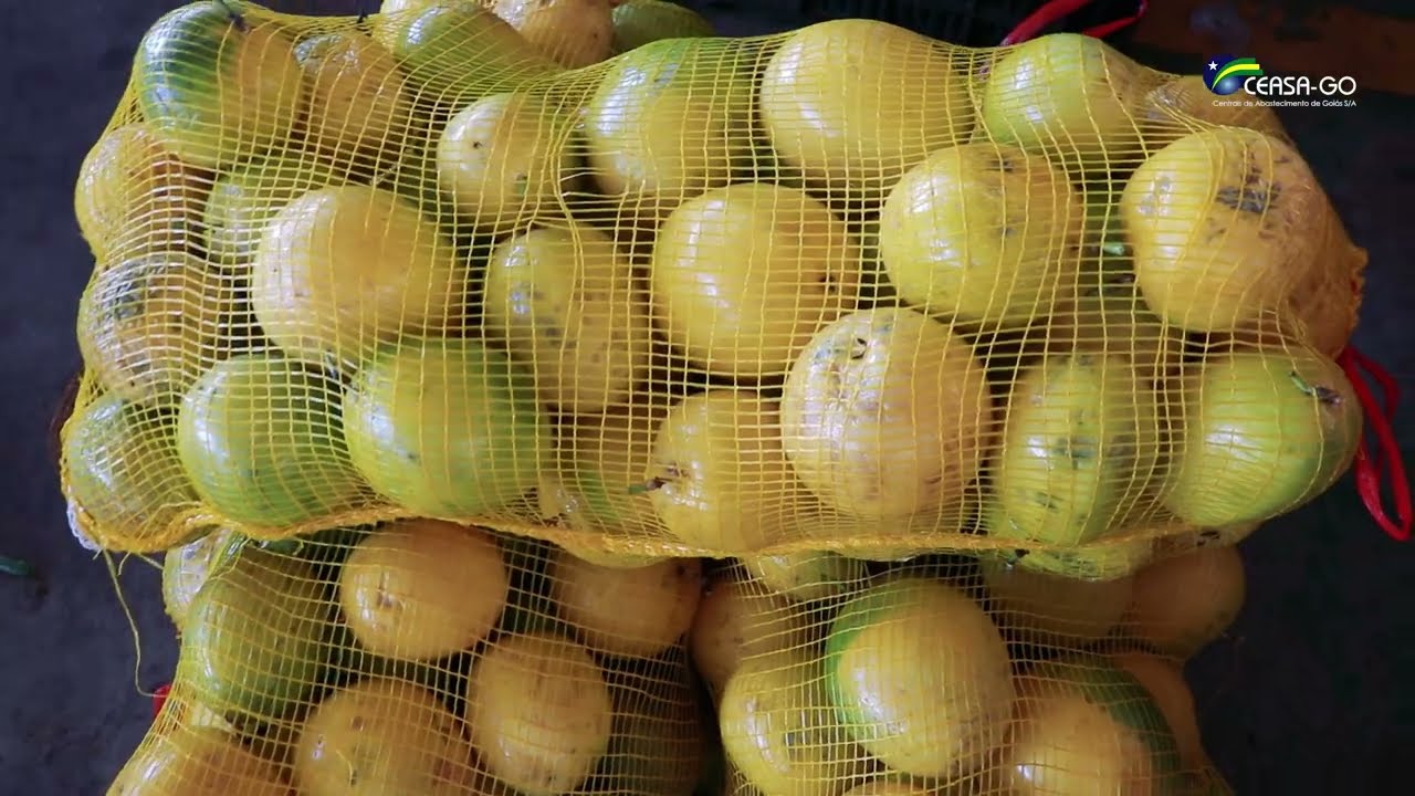 Cotação de Preços na Ceasa Goiás