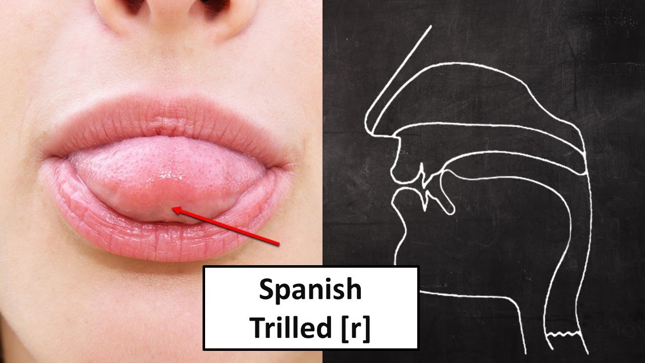 The best trilled [r] video yet!