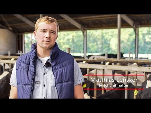 Virus-Einbruch bei Milchviehhalter - Denkanstoß Agrar