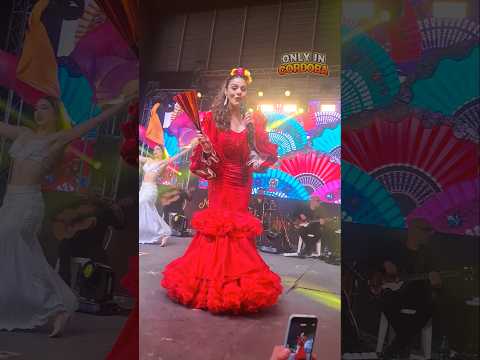 Oncativo se llenó de salame: así vivimos la Fiesta Nacional del Salame Casero 2026