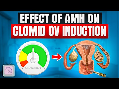 AMH test and your fertility 9 things you need to know for women with infertility Dr Morris