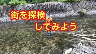 周南の道を行く1 山口県 唐揚げ ソレーネ