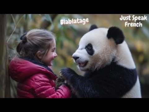 Blabla French PodCast | Service Quality in France