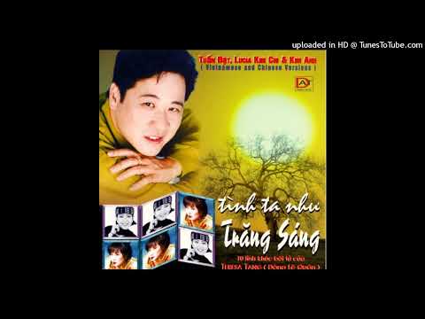 Anh còn nói gì? (Cuộc tình đã lỡ - Anh nói thế nào - Nǐ zěn me shuō - 你怎么说) - Kim Anh