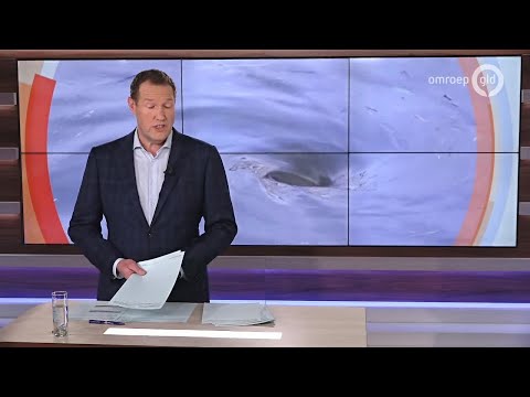 GLD Nieuws 14 februari 2020