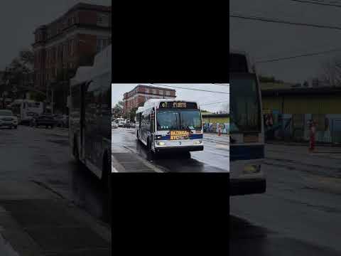 Q7 Bus Time