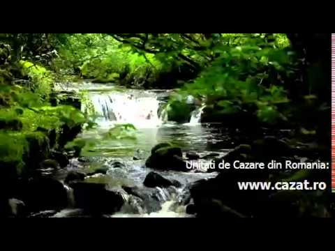 Cazare Jaristea, Vrancea - Cazat.ro