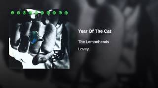 Year of the Cat Music Video