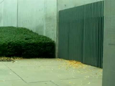 Pulitzer and St. Louis Contemporary Art Museum