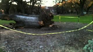 "The Wind is Bad" - Marilyn Whirlwind