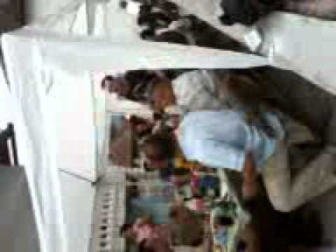 Emelin Fetic kod Karica 2