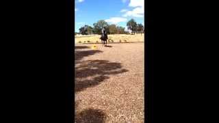 Misty Valley Black Magic