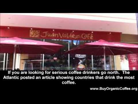 download lagu mp3 mp4 1 Pound Of Coffee Makes How Many Cups, download lagu 1 Pound Of Coffee Makes How Many Cups gratis, unduh video klip 1 Pound Of Coffee Makes How Many Cups