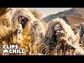 Precision Shots DESTROY The Enemy Line Sniper Movies Best Action Scenes Chad Michael Collins