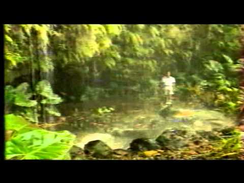 Tahiti Clip  Rétro - " Mareva "