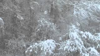 Josh Hoge - Snowed In