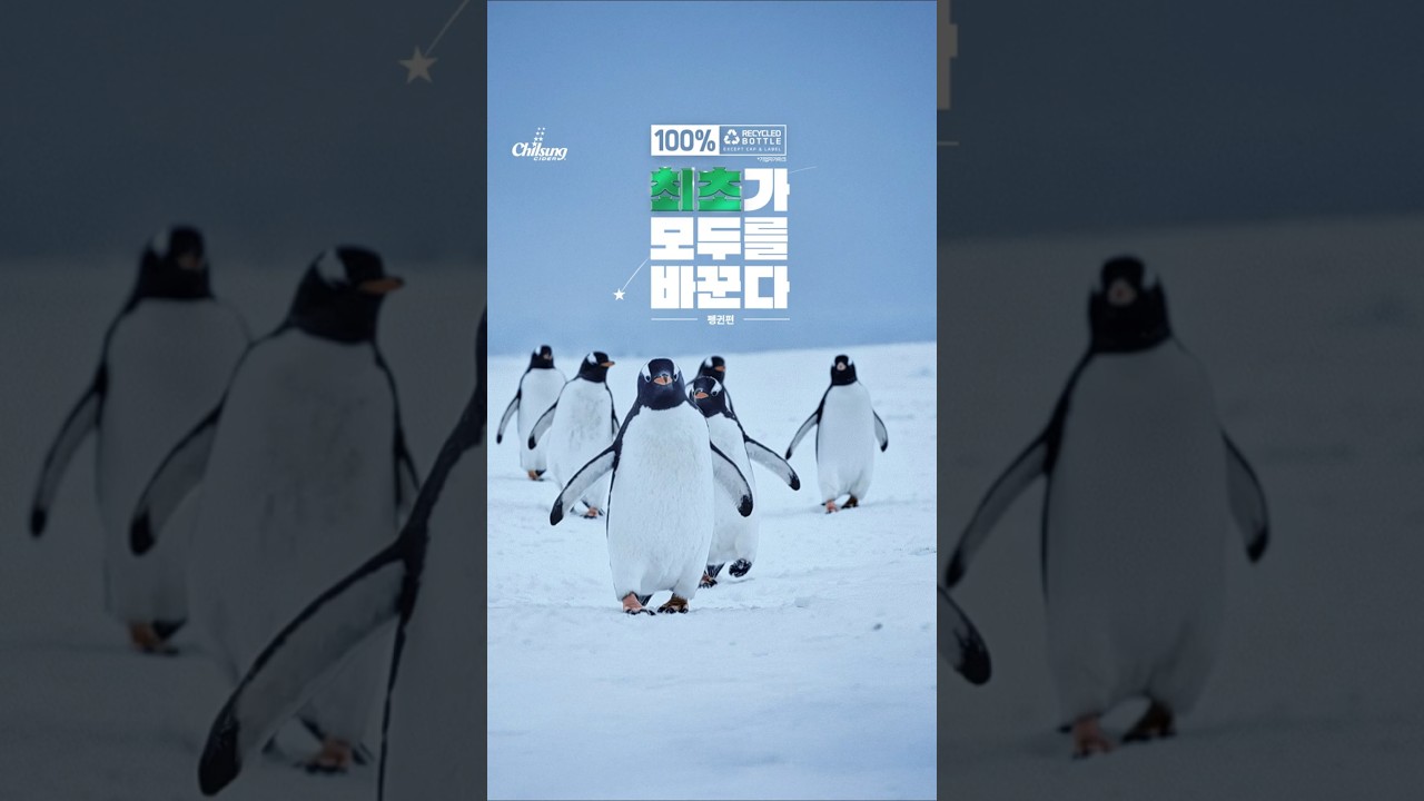 모두를 바꿀 펭귄의 도약, 모두를 바꿀 칠성사이다의 도전♻️