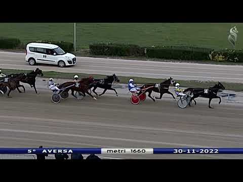 Aversa trotto 30 Novembre 2022- 5° Corsa