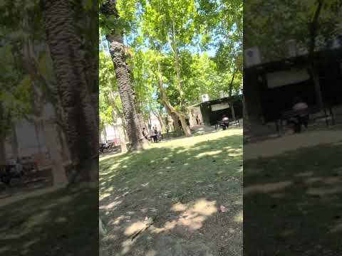 #ahora : Hermoso Pando, para quedarse a matear 🧉🧉🇺🇾