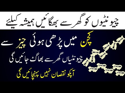 chitiyo ko kaise bhagaye | chiti bhagane ka tarika By Jasmine