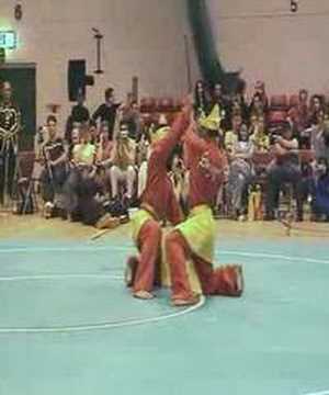 Ipo 2005