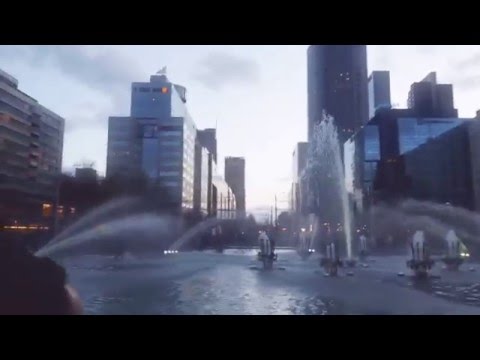 Feyenoord bekerwinnaar 2016 hofplein fontijn R'dam