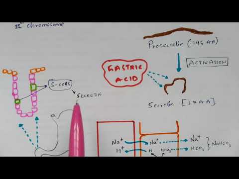 Secretin hormone | Mode of action | Mechanism | Bio science