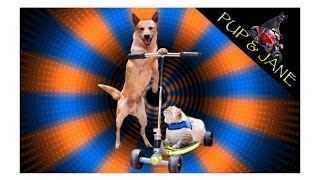 Пуп и Джейн развлекаются