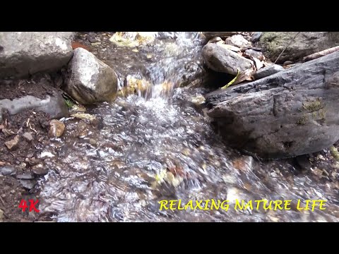 3 hours babbling brook noise-baby sleeping sounds-stress relief nature music-study, focus, relax-4k