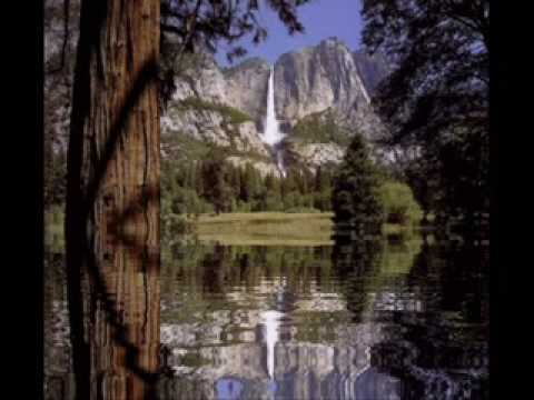 Otto Pascal   Legaminte