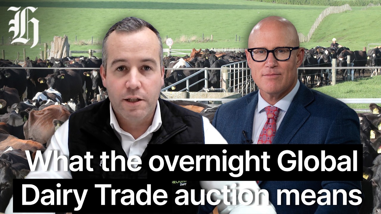 What the overnight Global Dairy Trade auction means for the market | Herald NOW Business