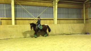 Video of Zitnas Picobello