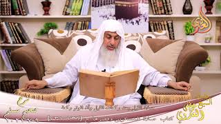شرح صحيح مسلم (379) ‘صلاة الليل وعدد ركعات النبي’ ح (736-738)  تاريخ 9-7-2021