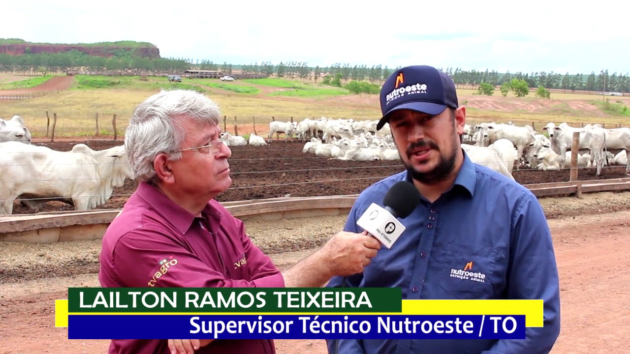 SEQUESTRO E CONFINAMENTO DE BEZERROS - manejo lucrativo