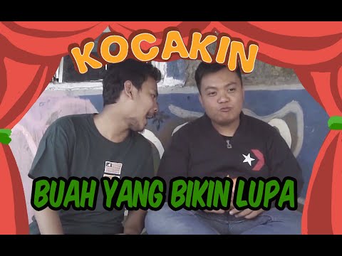 buah-yang-bikin-lupa