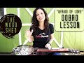 Dobro Lesson C Blues- Afraid of Love Abbie Gardner