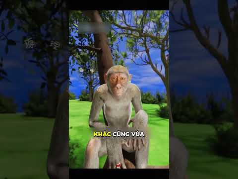 Những câu chuyện cảm động 5 #trendingshorts #giaitri