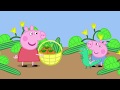 YTPMV Peppa Pig Lunch Scan
