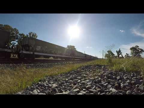Pacific National freight train lead by 81 class at Stockinbingal NSW