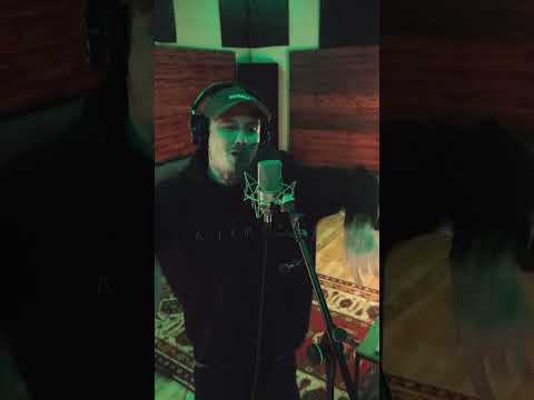 @postmalone - Rockstar (HVNDS REMVKE)