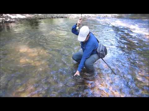 Barbo fly fishing with weighted ninfs in Spain