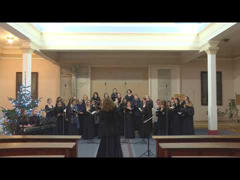 VOX NOVUS   Adventní koncert 2021