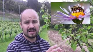 Landarearen atalak+esperimentua